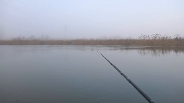 Ловля на Поплавок и Фидер зимой! Хороший клёв! Много поклёвок крупным планом! Природа! Кайф! смотреть онлайн