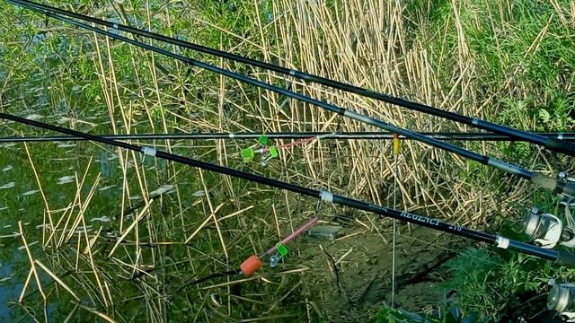 ЛУЧШИЕ ПОКЛЁВКИ КАРАСЯ С ПРОШЛОЙ РЫБАЛКИ. СТОРОЖКИ,БУБЕНЧИКИ,ИНДИКАТОРЫ ПОКЛЁВКИ. смотреть онлайн