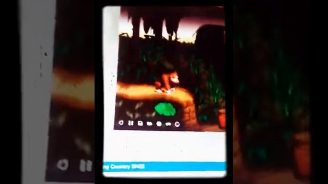 Jogamdo donk kong смотреть онлайн