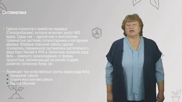 8 1 Сахарная свекла смотреть онлайн