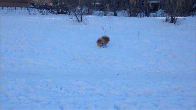 Ричард играет смотреть онлайн