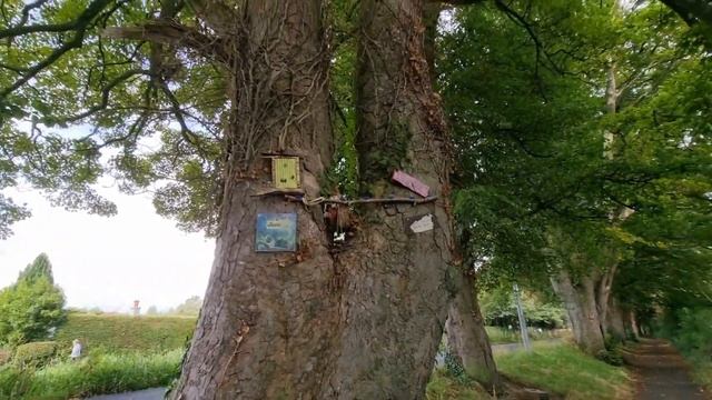 Домик Феи, сказочная Ирландия смотреть онлайн