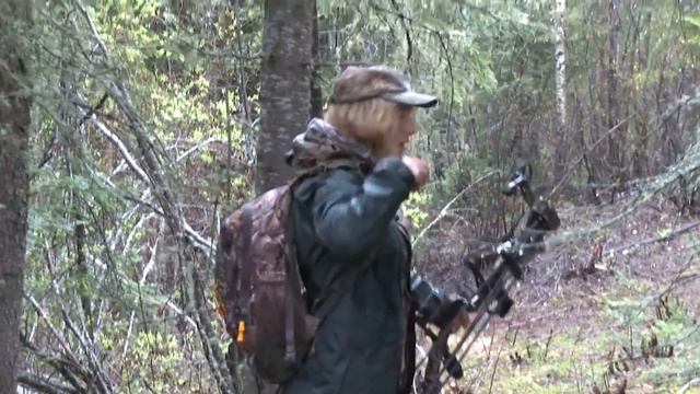 #охота на животных #2! смотреть онлайн