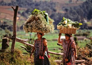 «Гватемала» ИМПРОВИЗАЦИЯ композитор Виктор Анохин #instrumentalmusic #guatemala #музыка #afrolatin