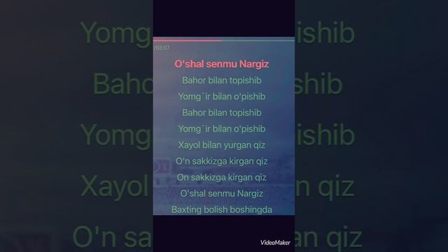 Muhriddin Holiqov  “Nargiz “ Karaoke