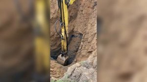 Колодец 6 колец экскаватором