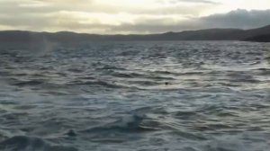Эннио Марриконе к ф Смерть среди айсбергов ORCA   the killer whale