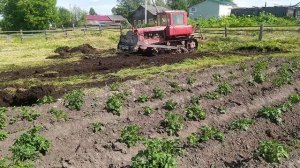 ДТ-75  в работе 🚜🚜🚜