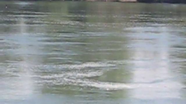 река кубань смотреть онлайн