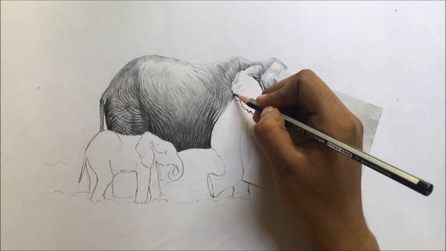 Elephants drawing step by step | draw and shade elephants in pencils | animal drawing смотреть онлайн