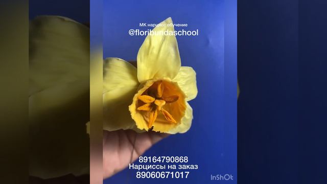 Нарциссы из холодного фарфора. Школа лепки @floribundaschool мастер Елена Чернова смотреть онлайн