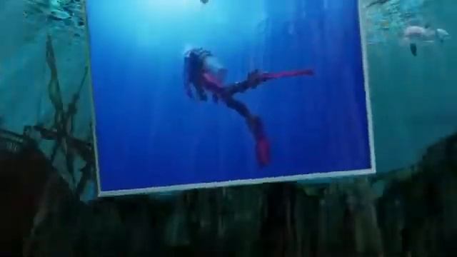 Туристическая компания Арт Азия Алматы: отзывы туристов смотреть онлайн