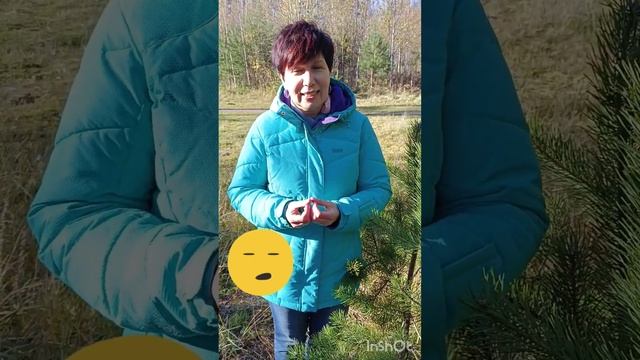Раннее развитие малышей. смотреть онлайн