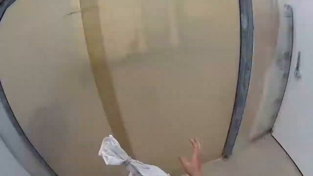 The Apprenticeship @ Benary Seen By The Trainees