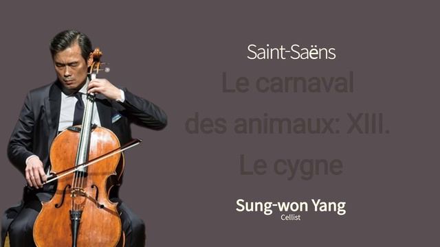 첼리스트 양성원 | 생상스, 동물의 사육제中 제13곡 '백조'(Le carnaval des animaux-XIII 'Le cygne') смотреть онлайн
