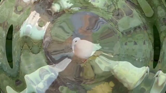 Вы, деньки мои, голуби белые! смотреть онлайн