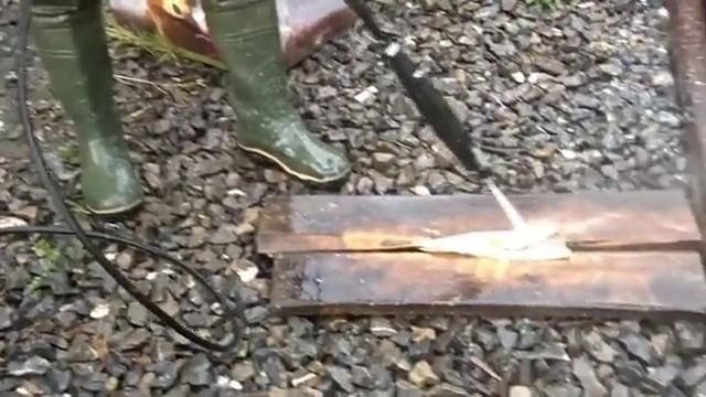 Чистка рыбы НОУ-ХАУ, при помощи мини-мойки Karcher смотреть онлайн