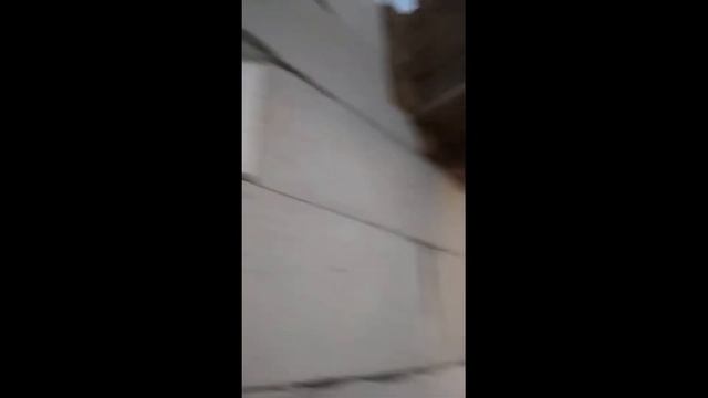 Как построить дом своими руками. Перемычки, балки и монолитный пояс. Часть 2 Опалубка и результат смотреть онлайн