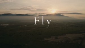 Fly - Ludovico Einaudi
