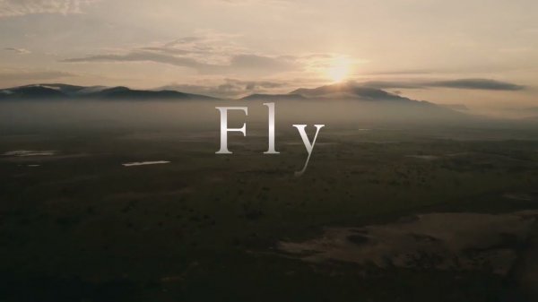 Fly - Ludovico Einaudi