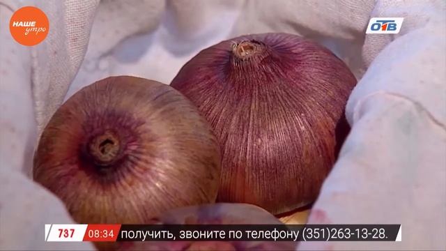 Садовые истории – храним гладиолусы смотреть онлайн