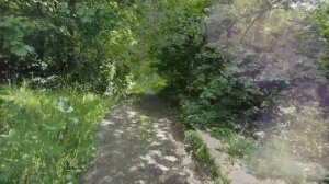 Чужая моя судьба. Жизнеутверждающие истории