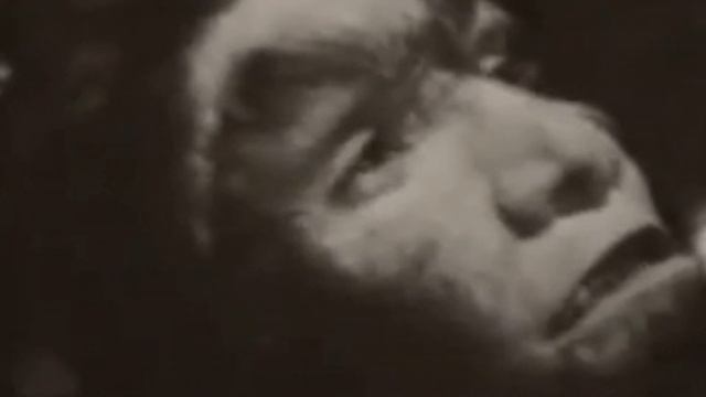 Помните  ЖЕНЩИНУ-ОБЕЗЬЯНУ?  Вот как  сложилась  ее СУДЬБА ...