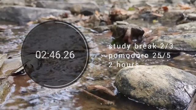 2 HOUR STUDY WITH ME | chill lofi playlist | pomodoro 25/5 смотреть онлайн