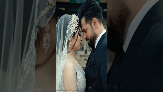 اغنيه تركيه/yavuz bingöl iki daǵlb arasi🥺❤ смотреть онлайн