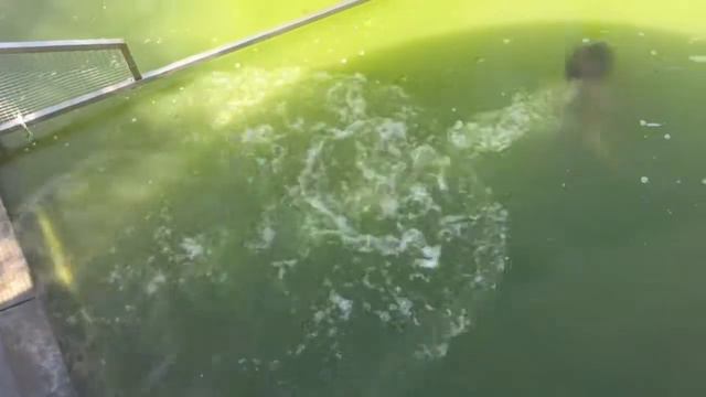 Супер прыжок в воду... смотреть онлайн