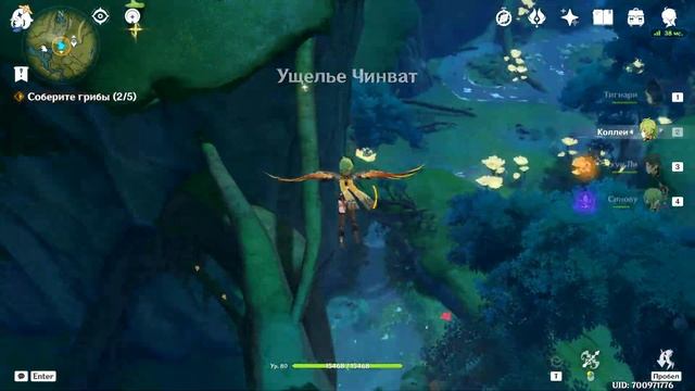 Скрытое достижение Труд всему голова. Поручение Атташе на чужбине. Genshin Impact смотреть онлайн