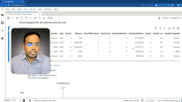 How to Detect Outliers with IQR and Boxplot? | Code Walkthrough in Python смотреть онлайн
