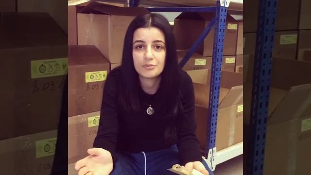 Рецепты домашних десертов