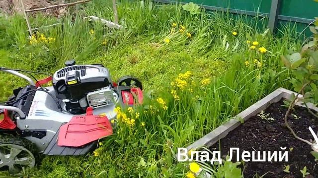 Самая лучшая газонокосилка 2020 года. Обзор самоходной газонокосилки AL-KO 528 VSI смотреть онлайн