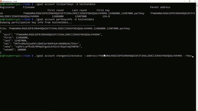 Development on Algorand using Raspberry Pi - Part 2, Video 2/2 смотреть онлайн