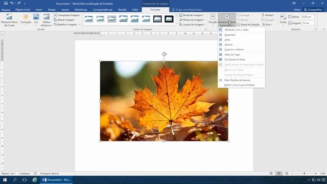 Como mover e posicionar imagens no Word смотреть онлайн