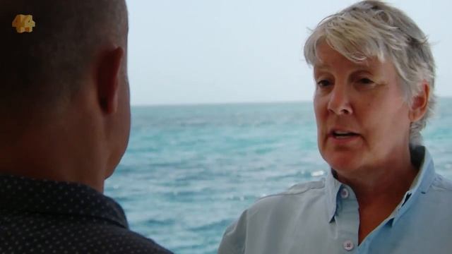 Why are shark attacks on the rise and how can we stop them? (2016) | Four Corners смотреть онлайн