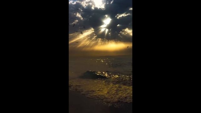 wedge sun клиновое солнце СОЛНЦЕМЁД SUNHONEY MUSIC смотреть онлайн