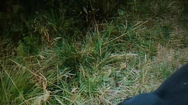 МИМО ТЕКЛА РЕКА смотреть онлайн