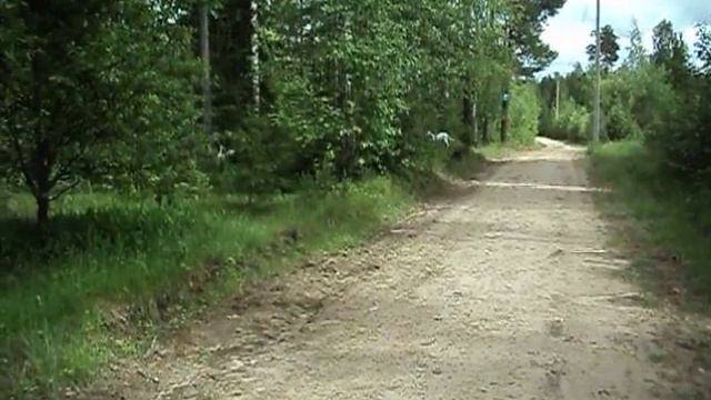 Бесиловки 13 июня 2012 смотреть онлайн