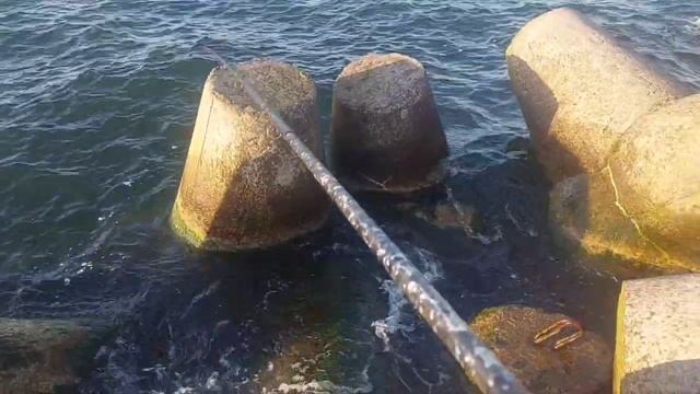 Салака, финта. ч. 3. Разновидности проводки. смотреть онлайн