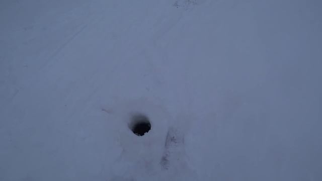 ВТОРОЙ ДЕНЬ НА РЫБНОЙ ТОЧКЕ! Крупный окунь и щука закапризничали но мы их заставили клевать! Рыбалк смотреть онлайн