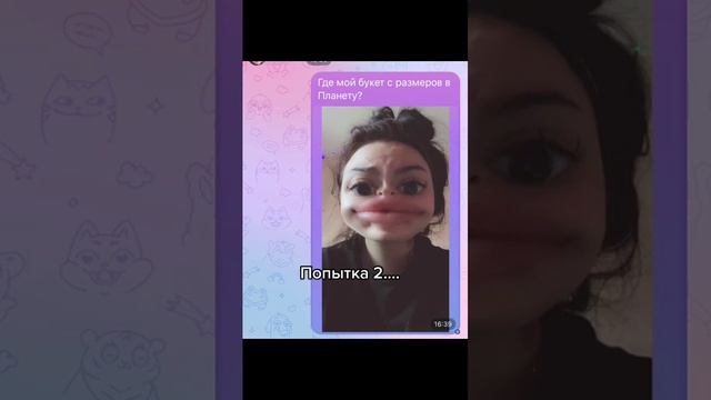 Видео,приколы,юмор,смех смотреть онлайн