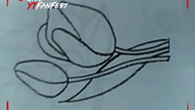 Рисуем тюльпан смотреть онлайн