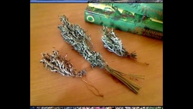 Магия простых вещей. Полынь 27.09.16 смотреть онлайн