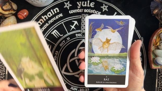 The Witches Oracle by Sally Morningstar - card flip through смотреть онлайн