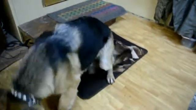 Maranaobamu смотреть онлайн