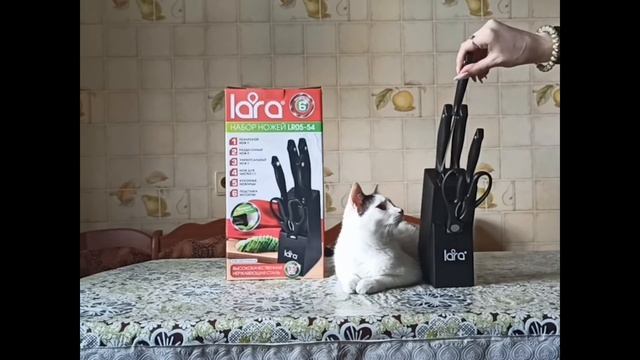 Набор ножей LARA LR05-54 Видеоотзыв (обзор) Риты смотреть онлайн