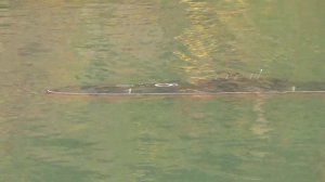 Радиоуправляемая модель подводной лодки Варшавянка Б-351