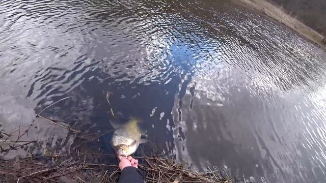 РЫБАЛКА НА СПИННИНГ НА РЕКЕ. ЛОВЛЯ ОКУНЯ НА МИКРОДЖИГ. ГОЛАВЛЬ НА СПИННИНГ смотреть онлайн